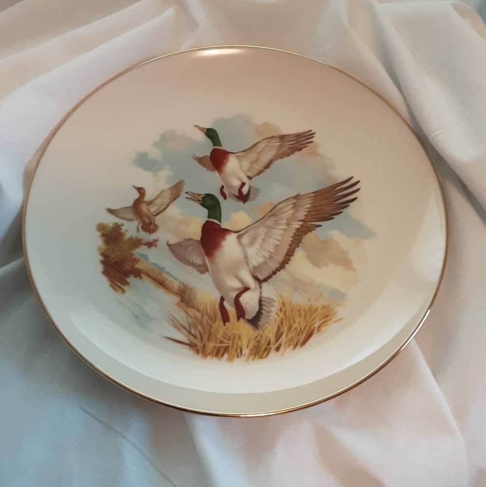 Vintage gold rimmed plate